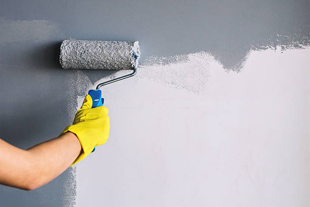Does Paint Dry Darker Or Lighter: Things You Need To Know