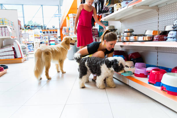 Is Hobby Lobby Pet Friendly? (All You Need To Know)